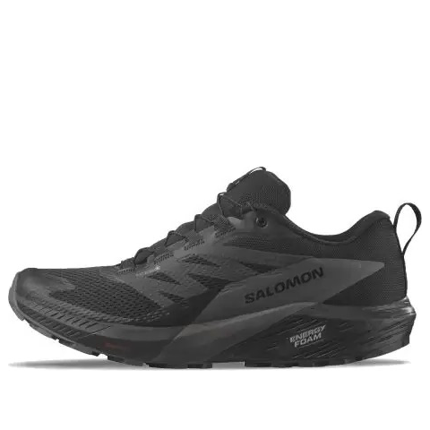 Кецове и обувки Salomon Sense Ride 5 Черно | 471472