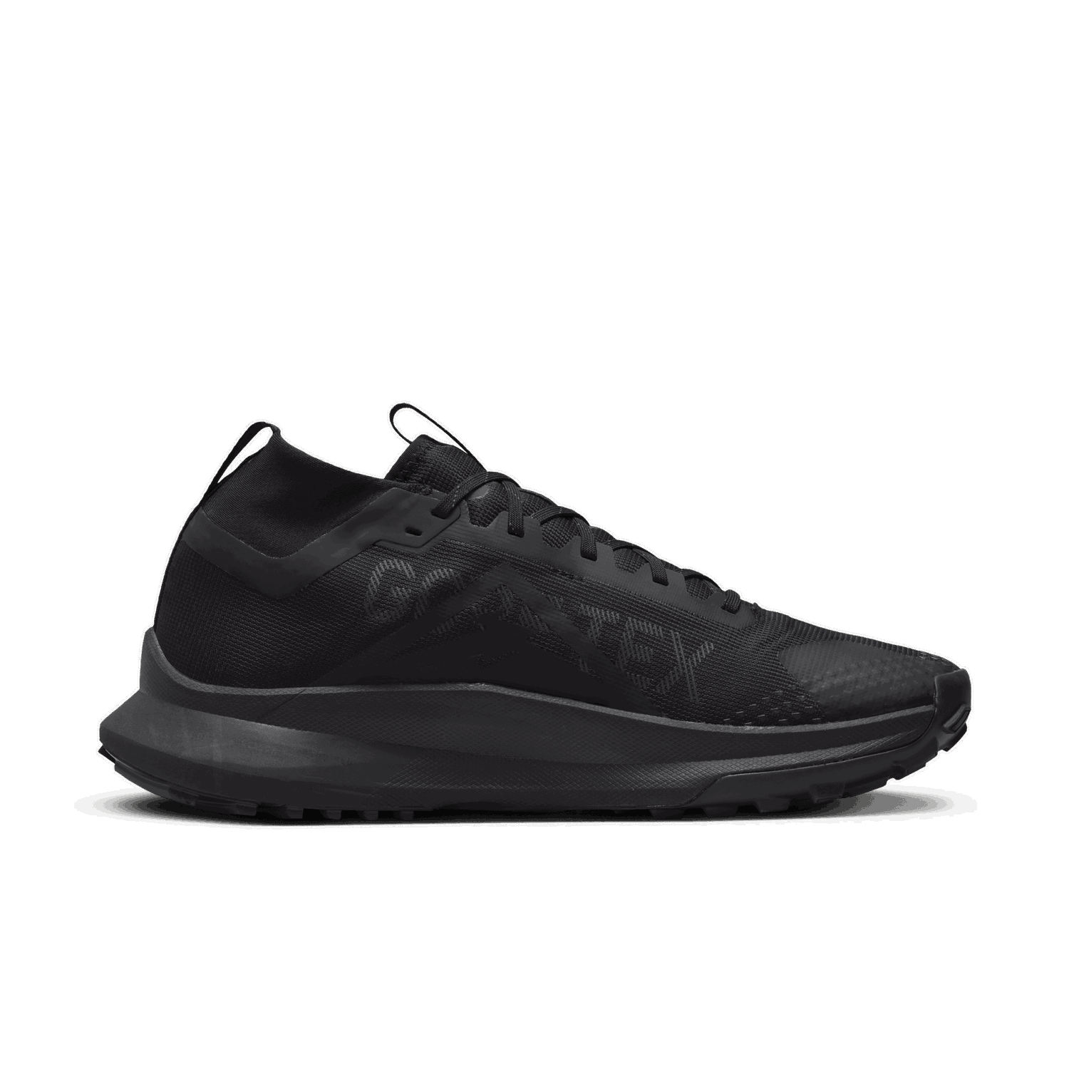 Кецове и обувки Nike Pegasus Trail 4 GORE-TEX Черно | DJ7926-008, 1