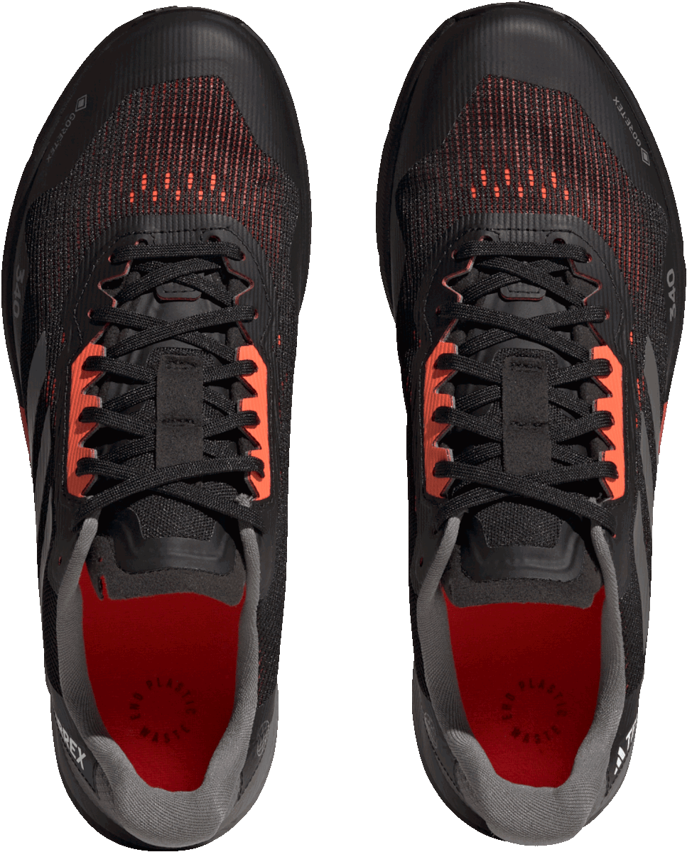 Кецове и обувки adidas Performance TERREX AGRAVIC FLOW 2 GTX Черно | hr1109, 1