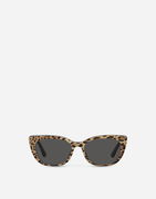 Dolce & Gabbana Leo Print Acetate Sunglasses