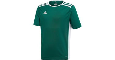 Фланелка adidas Originals Entrada 18 Jersey Зелено | ce9563, 1