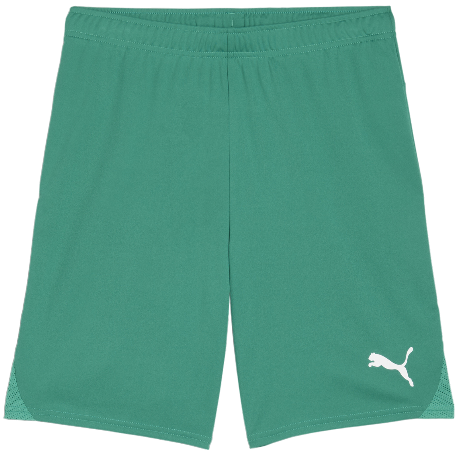 Къси панталони Puma teamGOAL Shorts Зелено | 705752-05, 0
