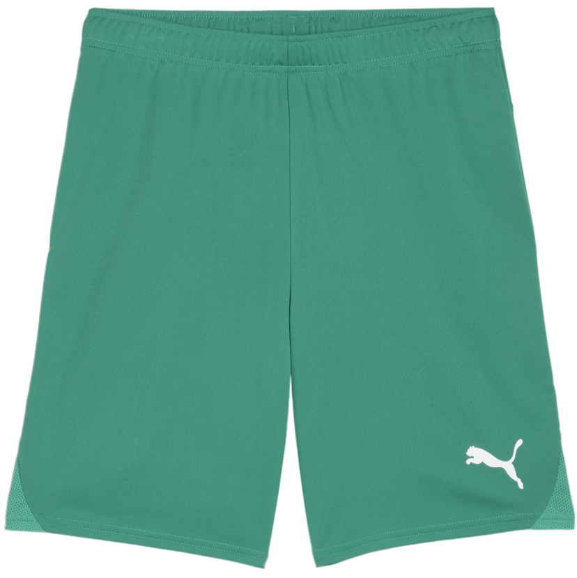 Къси панталони Puma teamGOAL Shorts Зелено | 705752-05