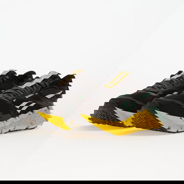 Кецове и обувки Reebok Floatzig 2 Многоцветен | 100225501, 5