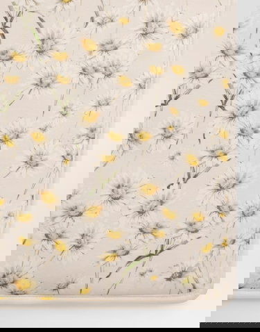 Облекло и аксесоари Dolce & Gabbana Dolce & Gabbana Daisy-Print Interlock Baby Blanket Бежово | LNJAE7II7IOHF5RI, 3