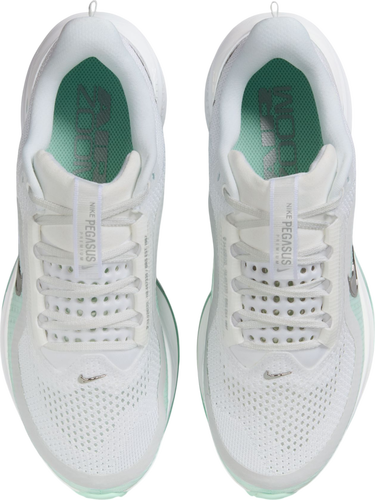 Кецове и обувки Nike Pegasus Premium Бяло | hq2593-103, 2
