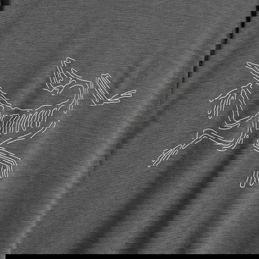 Тениска Arcteryx Cormac Logo Long Sleeve T-Shirt, Size X-Large Сиво | X000008452-021579, 3