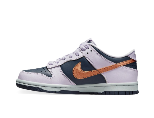 Lifestyle Nike Dunk low Copper Swoosh (GS) Сиво | DX1663-400