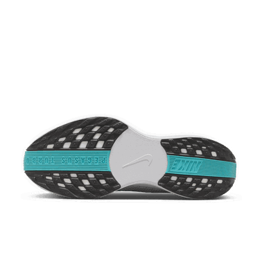 Кецове и обувки Nike Pegasus Plus Сиво | FQ7262-004, 1