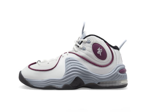 Air Penny 2 "Rosewood"