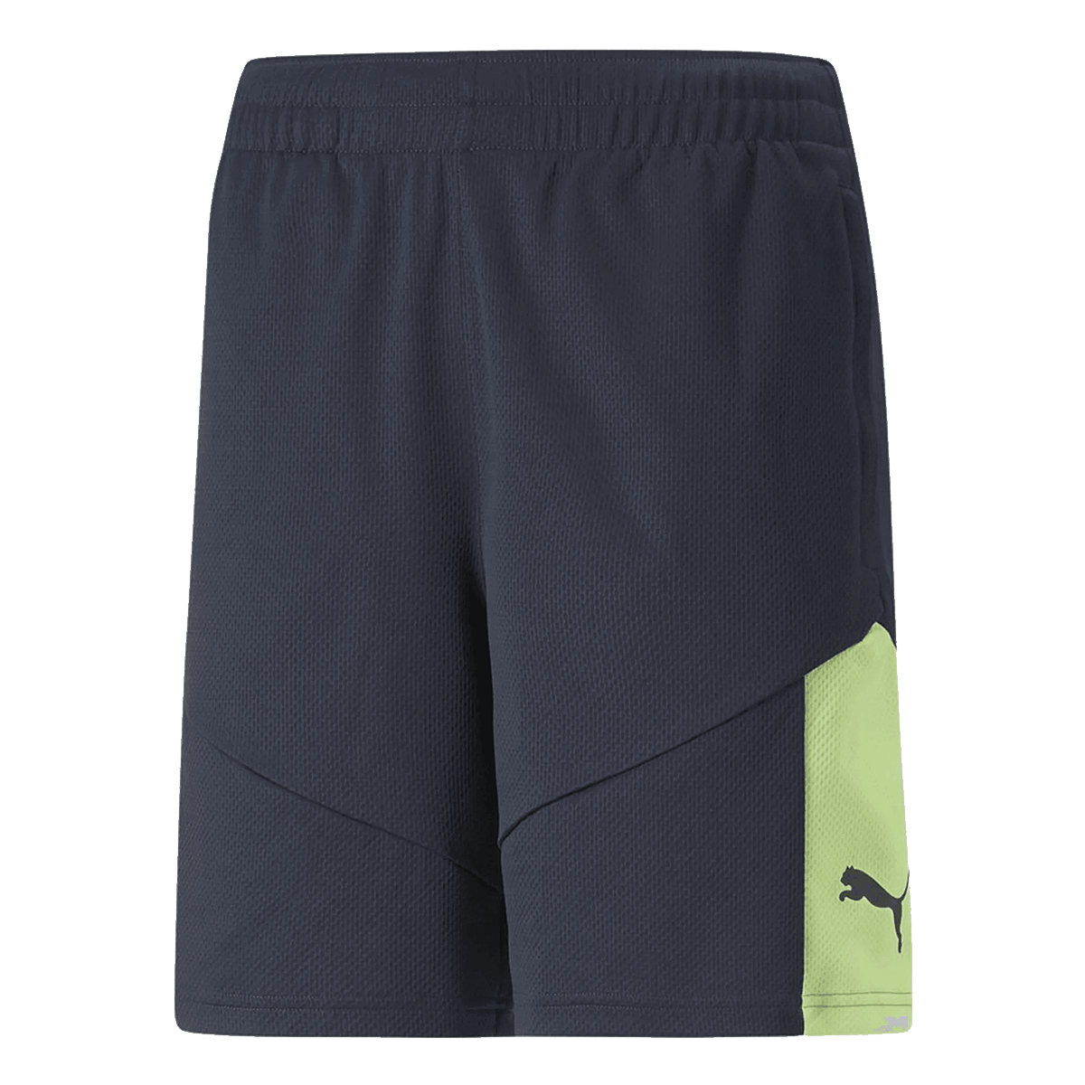 Къси панталони Puma INDIVIDUALRISE Shorts Многоцветен | 657538-47, 0
