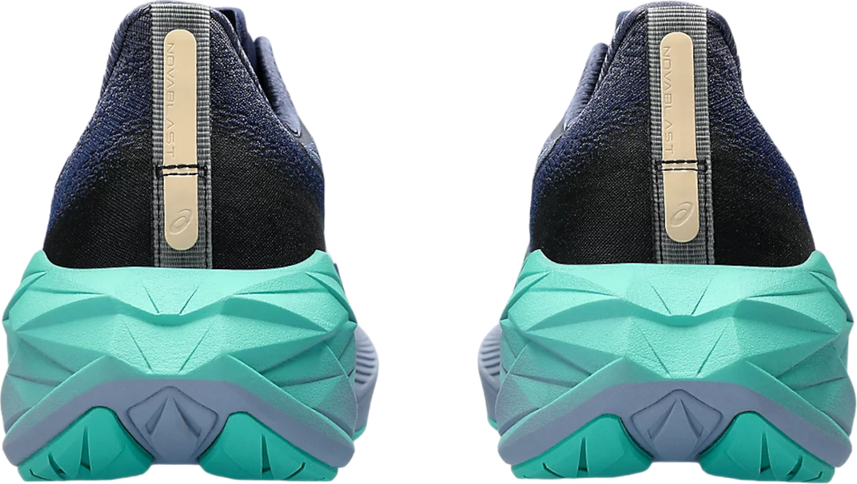 Кецове и обувки Asics NOVABLAST 4 Сиво | 1012b510-401, 1