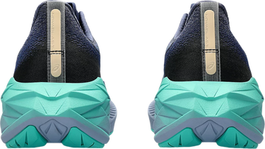 Кецове и обувки Asics NOVABLAST 4 Сиво | 1012b510-401, 1