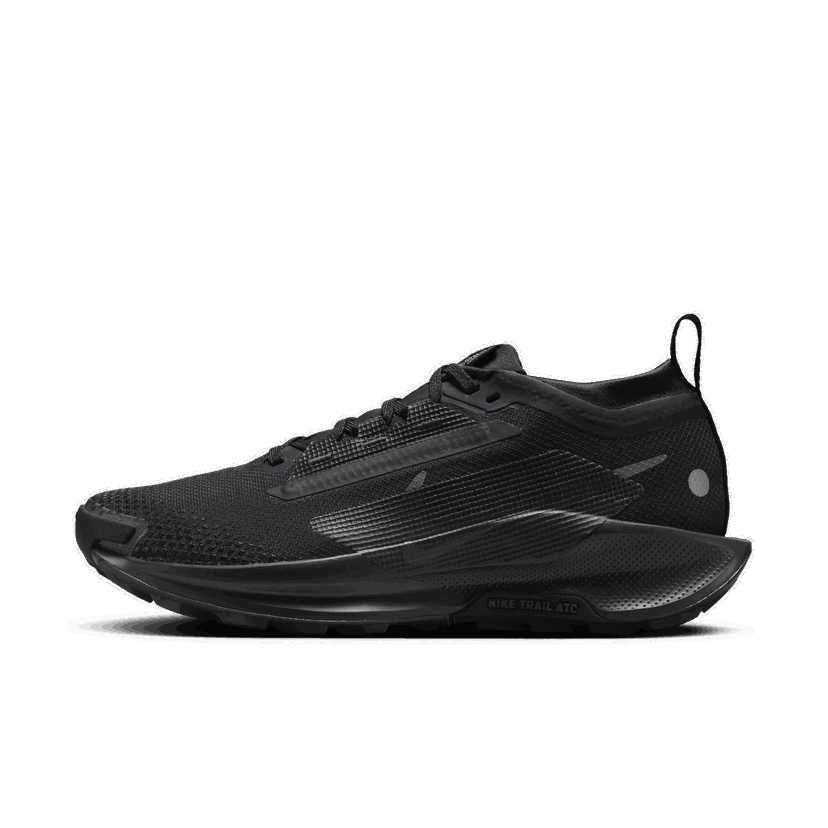 Бягане Nike Pegasus Trail 5 GORE-TEX Черно | FQ0912-002