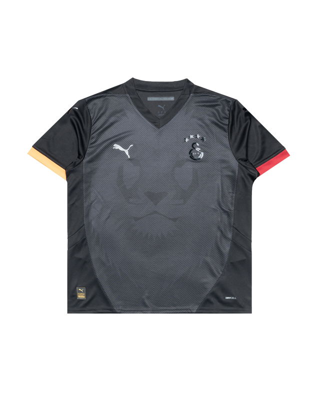 Galatasaray Special Replica Jersey