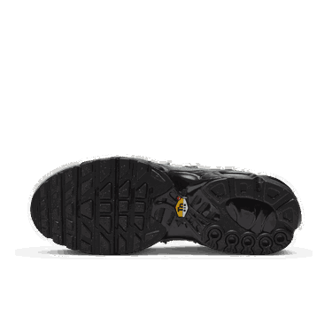 Кецове и обувки Nike Air Max Plus Сиво | FD0670-002, 1
