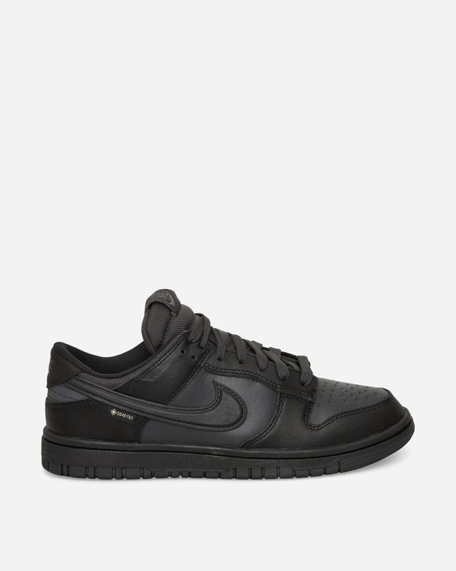 Dunk Low GORE-TEX