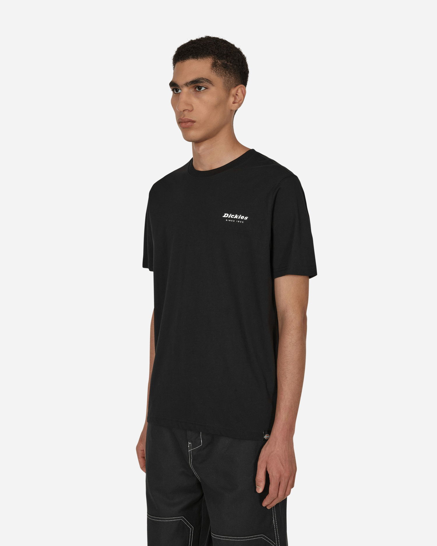 Тениска Dickies Camden Box T-Shirt Черно | DK0A4Y1H BLK1, 1