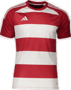 Custom Striped Short Sleeve Jersey