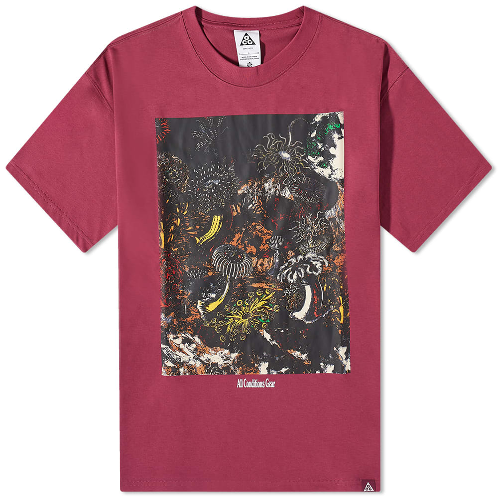 Тениска Nike ACG Tidal Pool Tee Бургунди | DX9448-653, 0
