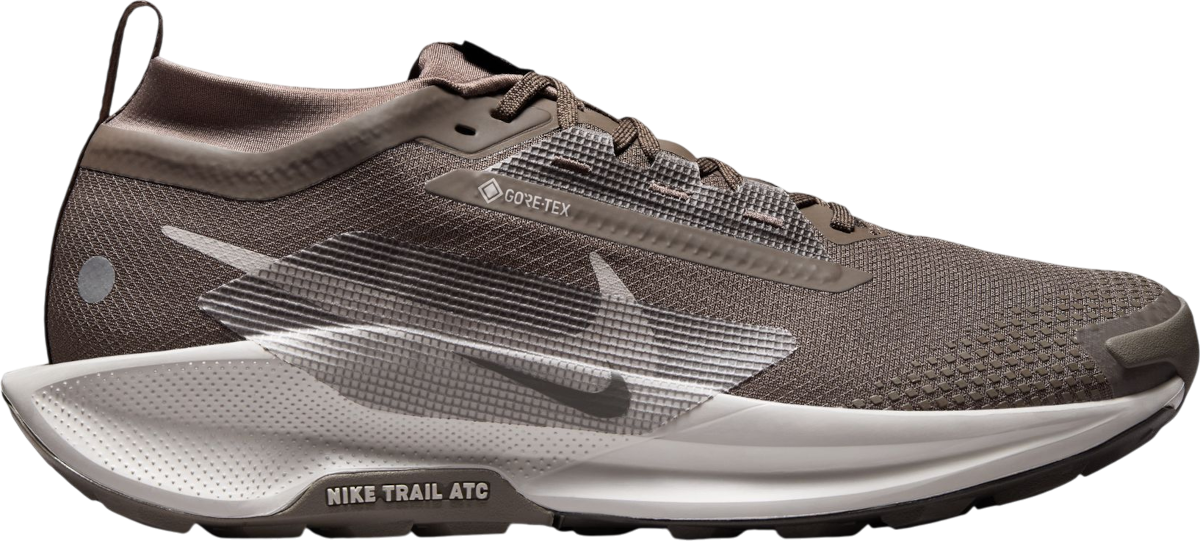 Кецове и обувки Nike Pegasus Trail 5 GORE-TEX Кафяво | fq0908-012, 0