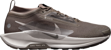 Кецове и обувки Nike Pegasus Trail 5 GORE-TEX Кафяво | fq0908-012, 0