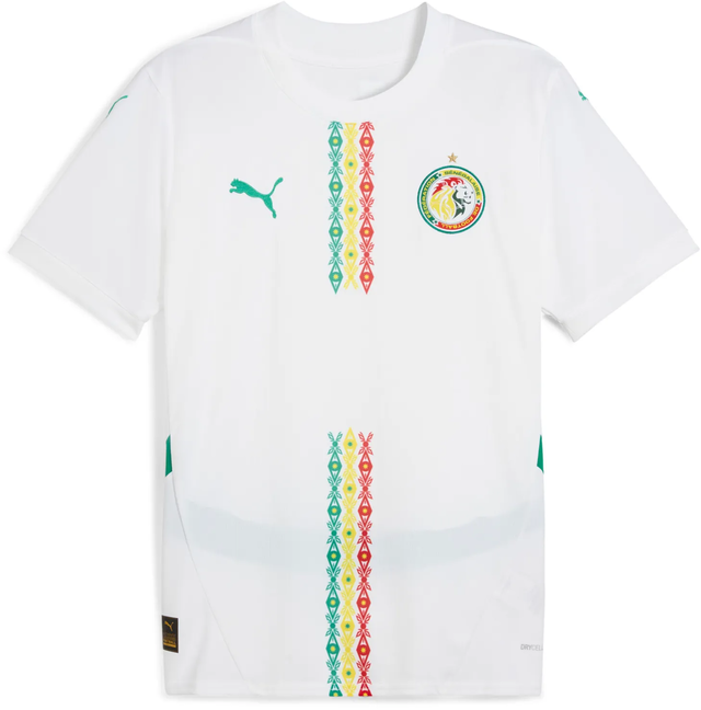 Senegal 2025 Home Replica Jersey