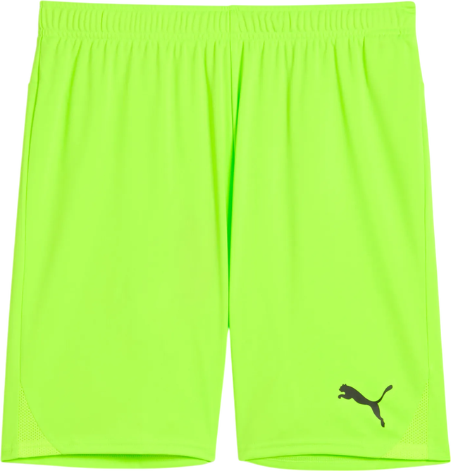 Puma teamGOAL Shorts