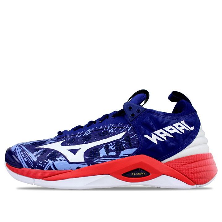 Кецове и обувки Mizuno Wave Momentum 2 undefined | V1GA191164