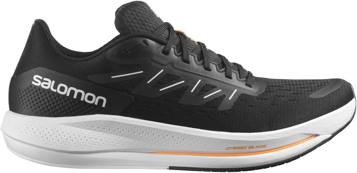 Кецове и обувки Salomon Spectur Черно | l41589600, 1