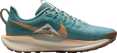Кецове и обувки Nike Pegasus Trail 5 Тюркоазено | dv3865-010, 3