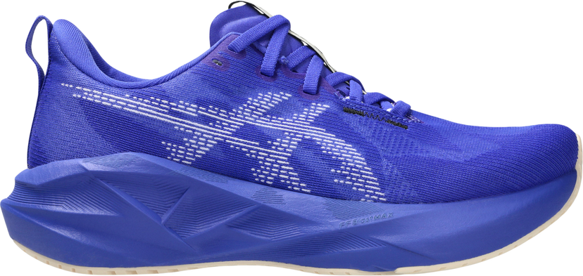 Кецове и обувки Asics NOVABLAST 5 Синьо | 1012b765-403