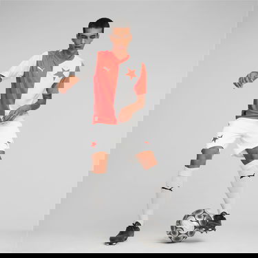 Фланелка Puma SK Slavia Praga 23/24 H Многоцветен | 770835_01, 3
