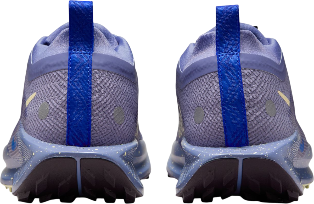 Кецове и обувки Nike Pegasus Trail 5 GORE-TEX Лилаво | fq0912-402, 1