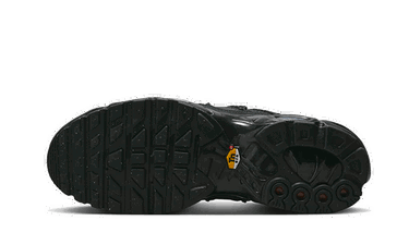 Кецове и обувки Nike Air Max Plus Черно | FD0670-001, 3