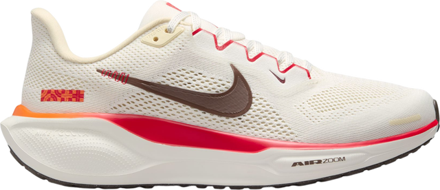 Pegasus 41