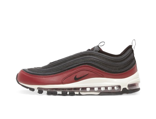 Lifestyle Nike Air Max 97 Многоцветен | DQ3955-600
