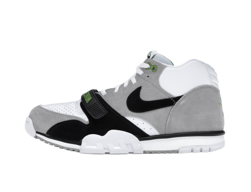 Кецове и обувки Nike SB Air Trainer 1 Chlorophyll (2020) Сиво | CW8604-001