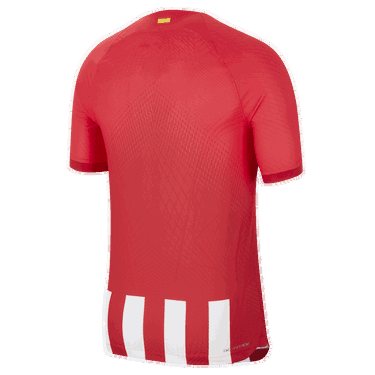 Фланелка Nike Dri-FIT ADV Atlético Madrid 2023/24, Многоцветен | DX2609-613, 1
