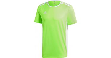 Фланелка adidas Originals Adidas Entrada 18 Jersey Зелено | ce9758k, 1