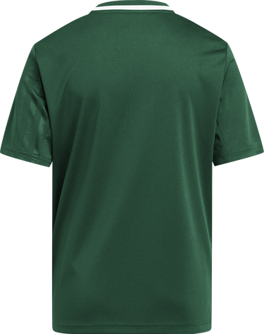 Фланелка adidas Originals Adidas Campeon 25 Jersey Зелено | jj4167, 8