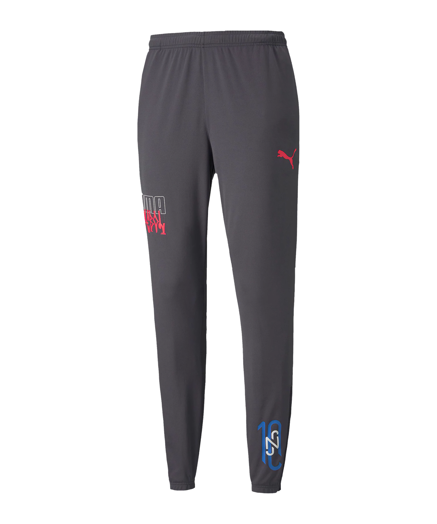 Спортни панталони Puma NJR Pants Сиво | 605600-007, 0