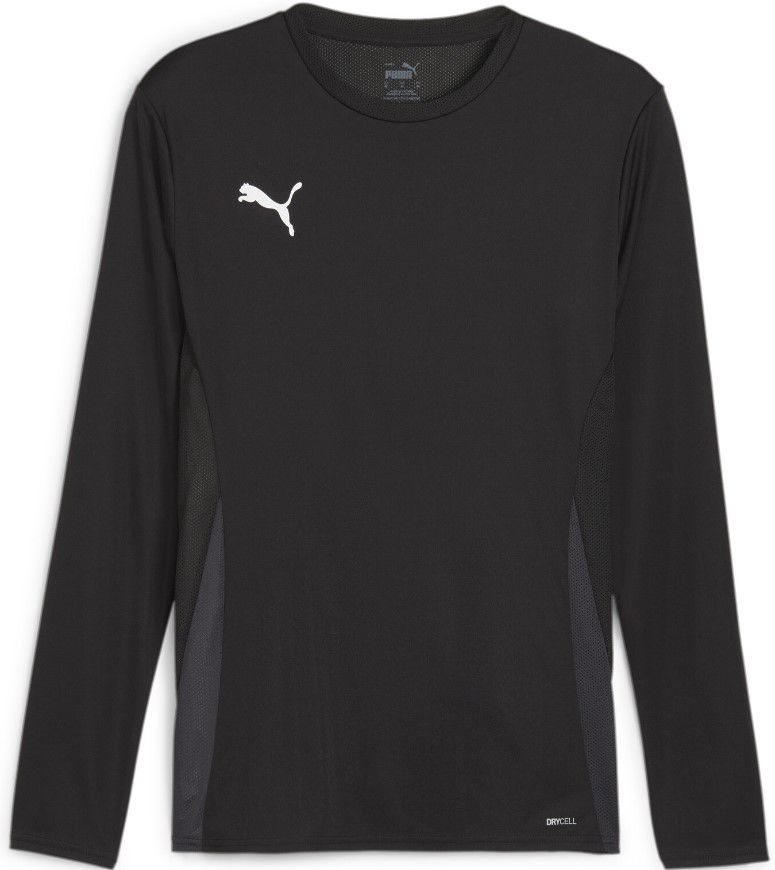 Фланелка Puma teamGOAL Jersey LS M Черно | 705750-03, 0