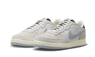 Кецове и обувки Nike Terminator Low "Liberté" Сиво | FJ4207-001, 3