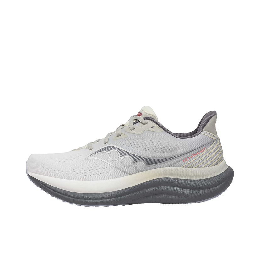 Кецове и обувки Saucony Triumph 23 Сиво | s21023-505