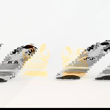Кецове и обувки Salomon ACS Pro GTX Icicle/ Antelope/ Tea Зелено | L47599800, 4