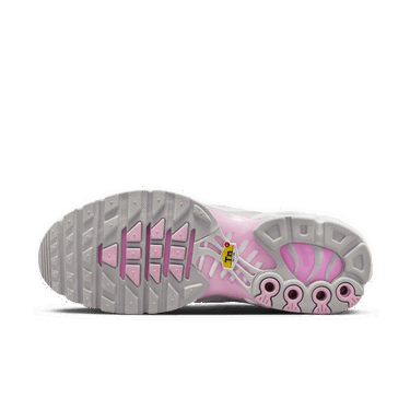 Кецове и обувки Nike Air Max Plus Сиво | HF0107-100, 2