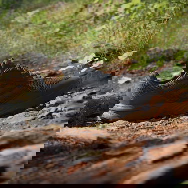 Кецове и обувки adidas Performance adidas TERREX Boty Tracefinder Trail Running Черно | IE5906, 3