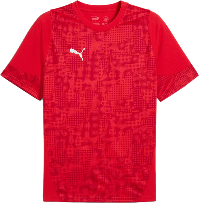 Puma teamCUP Training Jersey