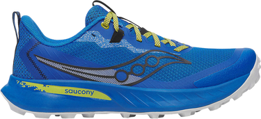 Кецове и обувки Saucony Peregrine 15 Синьо | s20990-161, 0